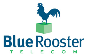 Blue Rooster